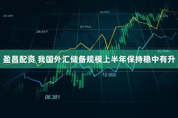 盈昌配资 我国外汇储备规模上半年保持稳中有升