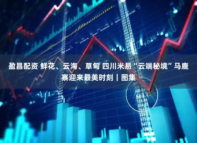 盈昌配资 鲜花、云海、草甸 四川米易“云端秘境”马鹿寨迎来最美时刻｜图集
