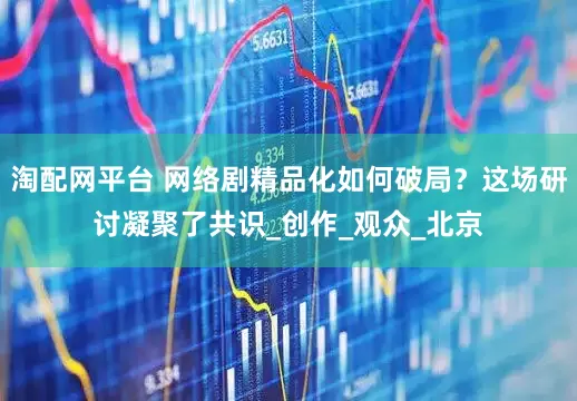 淘配网平台 网络剧精品化如何破局？这场研讨凝聚了共识_创作_观众_北京