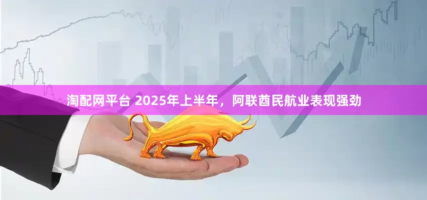 淘配网平台 2025年上半年，阿联酋民航业表现强劲