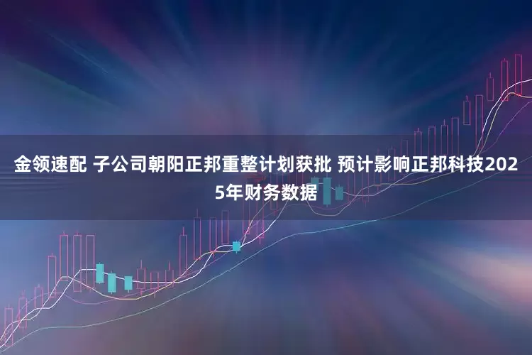 金领速配 子公司朝阳正邦重整计划获批 预计影响正邦科技2025年财务数据